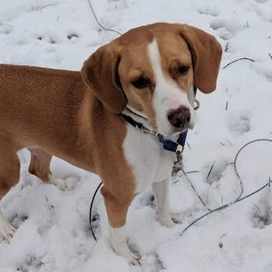 Meet your Posher, Bethany